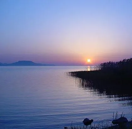 Tulman * Balatonbereny